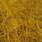03 raw umber