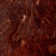 white dyed coachman brown