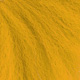 lion yellow