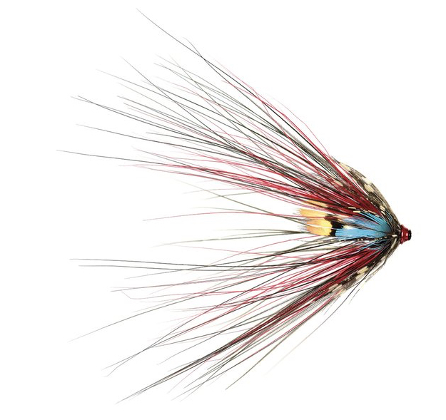 Frödin Flies Tubenfliege Sea Trout Spey Series - Black Doctor Spey