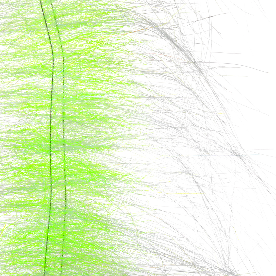 white / chartreuse