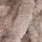 pellet