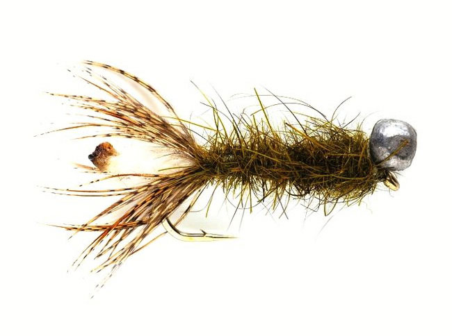 Semperfli_peeping_daddis_body_wool_Bindebeispiel Bindebeispiel