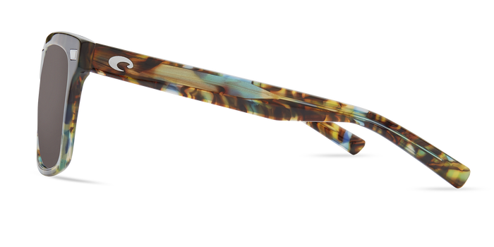 costa_aransas_shiny_ocean_tortoise_gray3