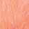 white dyed salmon