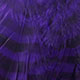 purple/black