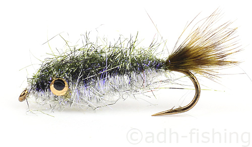 Lite-minnow-rainbow-detail