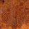 grizzly dyed orange