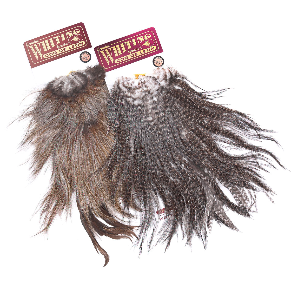 P-25395_Whiting-Coq-de-Leon-Saddle-Bronze