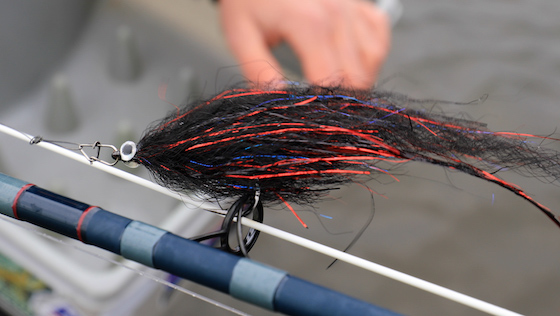 Bindevideo 'Bleeding Black Baitfish' Hecht-Streamer mit Martin Rieck