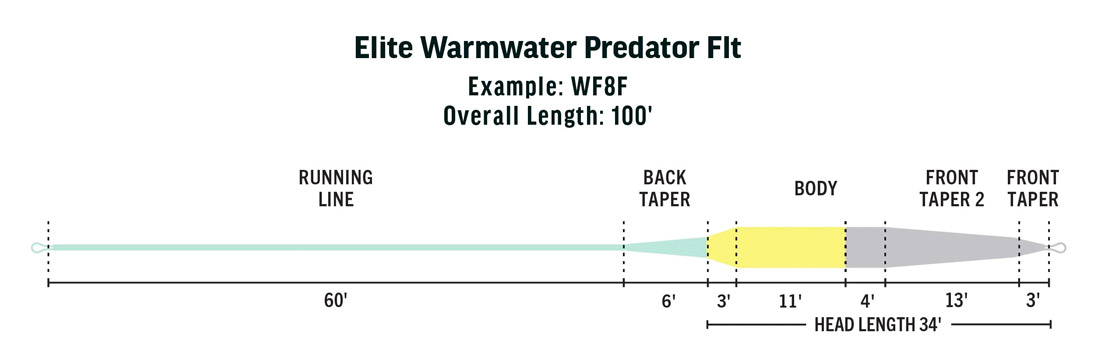 Rio_Elite_Warmwater_Predator_Taper_Floating