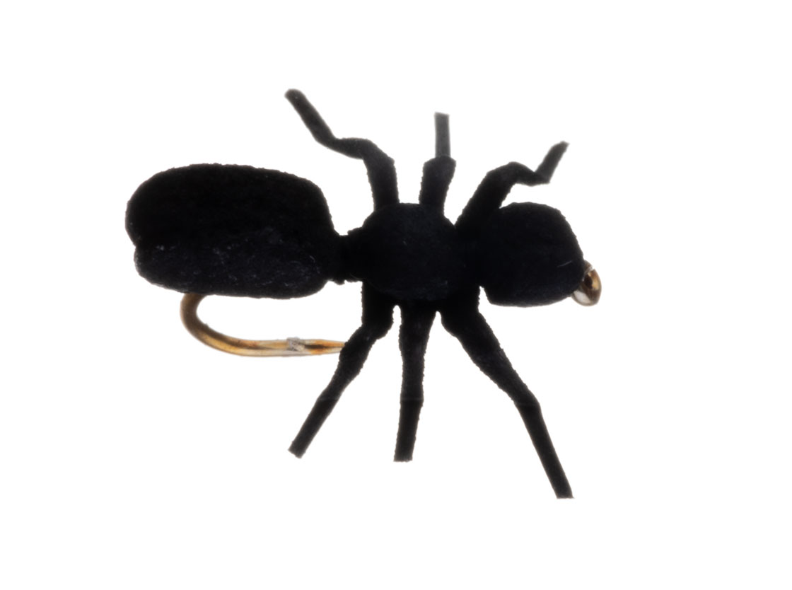 15918_Vania-Realistic-True-Ant-Black_1 Vania Realistic True Ant Ameise Trockenfliege black