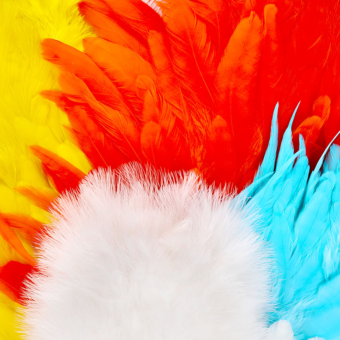 P-25379_Whiting-American-Hen-SH-C_detail