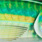 hd bigeye scad