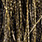 m013 black gold