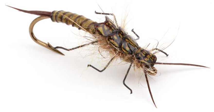 P-27716_Pro-Sportfisher_StoneFly_Back_6 Bindebeispiel