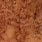 grizzly dyed brown