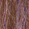 bronze back