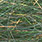 algae green