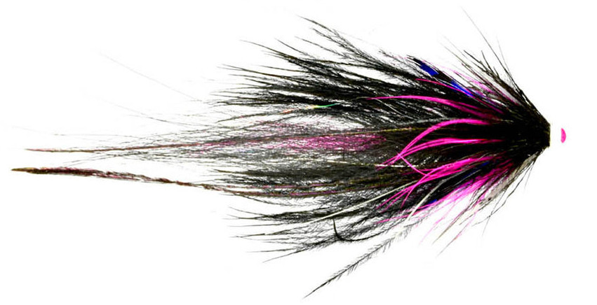 Frodin_Flies_Tubenfliege_Butterfly_Series_Kraken