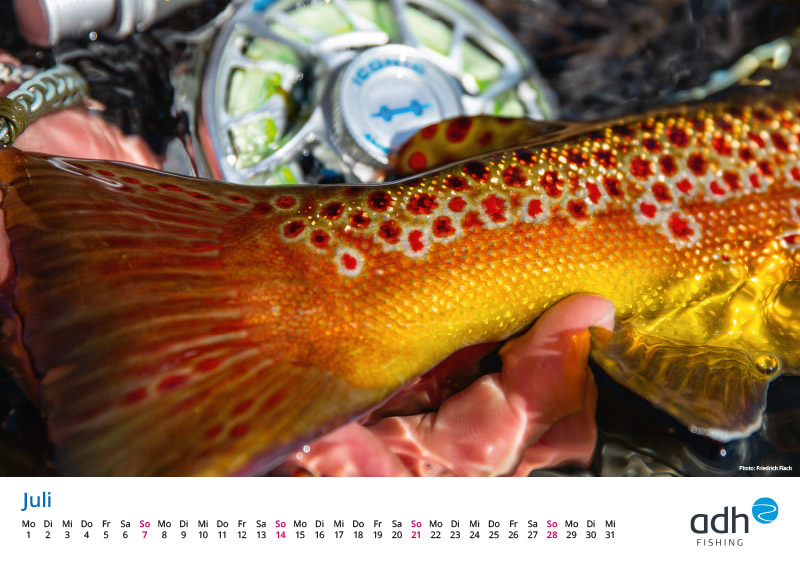 kalender-adh-fishing-2024_blog-vorschau07 - Gratis Fliegenfischer-Kalender für 2024