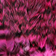 grizzly pink