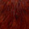 white dyed coachman brown