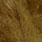 brown olive