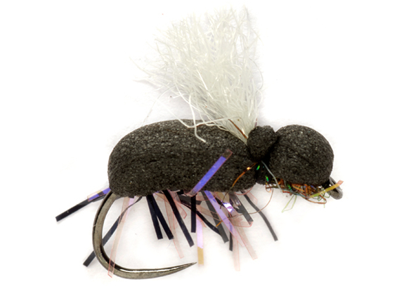 P-21118_FullingMill_Procters_Target_Beetle_White Fulling Mill Trockenfliege - Procter's Target Beetle White Barbless