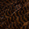 grizzly fiery brown
