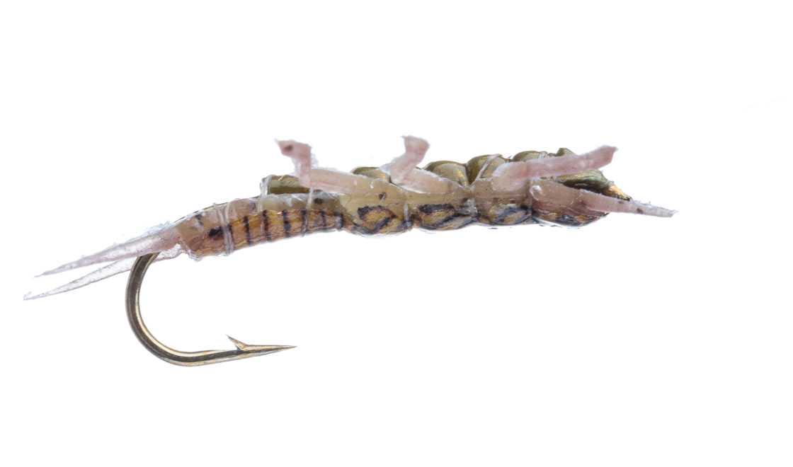 P-15597_Vania-Realistic-Golden-Stonefly-Jig-Nymph