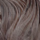 white dyed dark dun