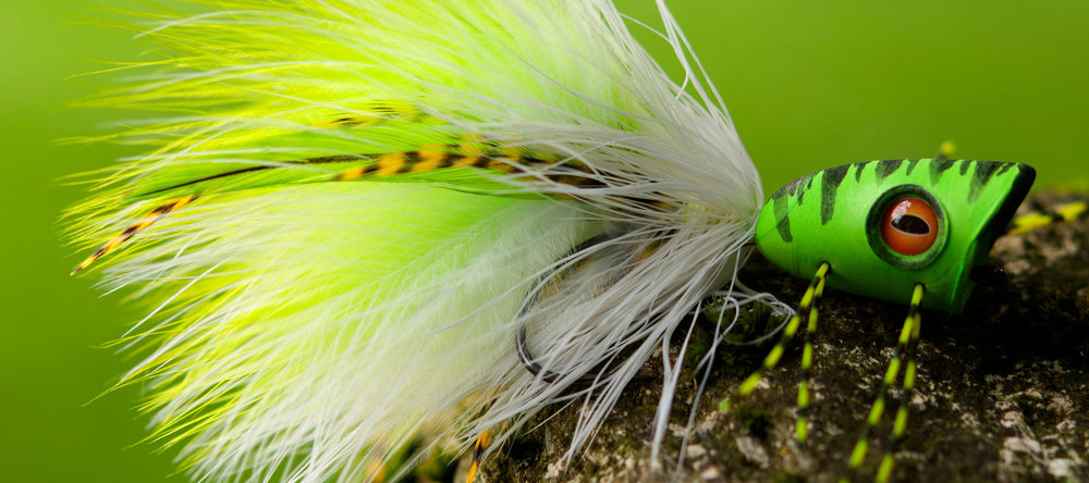 ahrex-pr350-light-predator-hook-fly Bindebeispiel