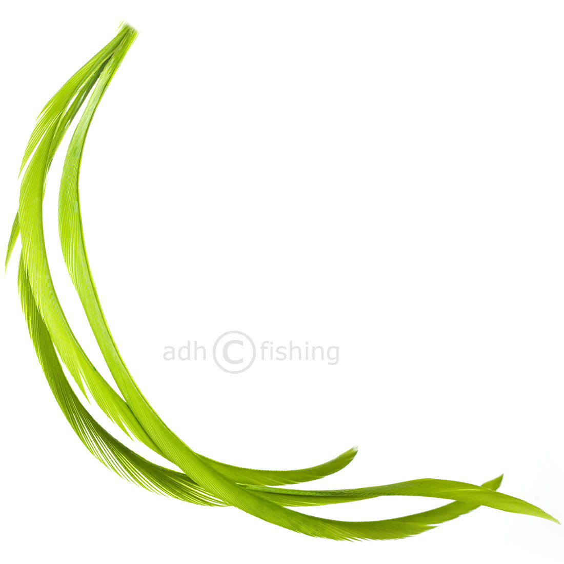 Wapsi_GooseBiots_caddisgreen_hi caddis green