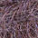 uv bronze