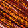 holo orange