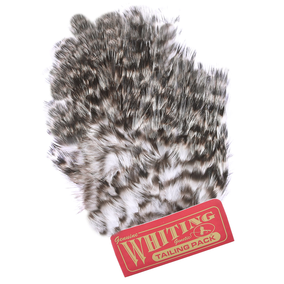 P-25396-3_Whiting-Coq-de-Leon-Tailing-Pack_grizzly grizzly