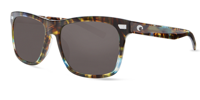 costa_aransas_shiny_ocean_tortoise_gray4