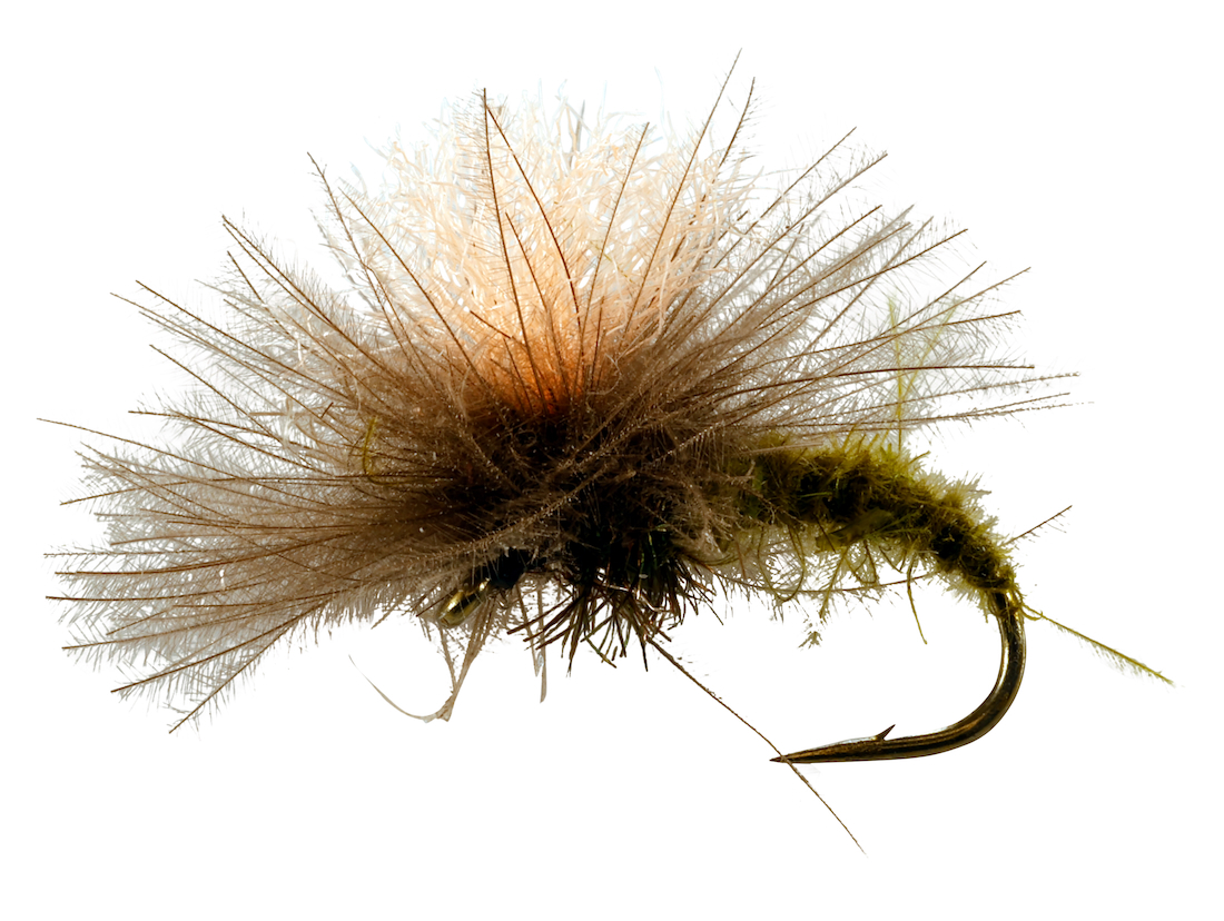 Catchy Flies Trockenfliege - CF25 CDC Klinkhammer olive