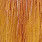 medium ginger