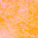 fl. peach