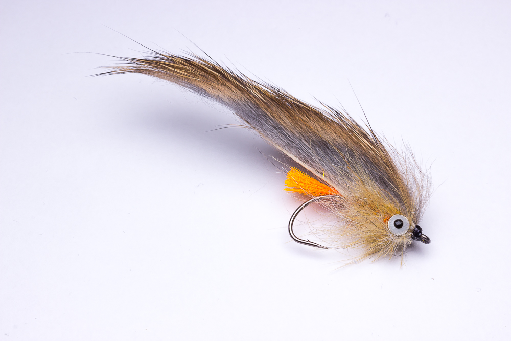 adh_dumbbell_eyes_holger_lachmann3 Gebunden von Holger Lachmann