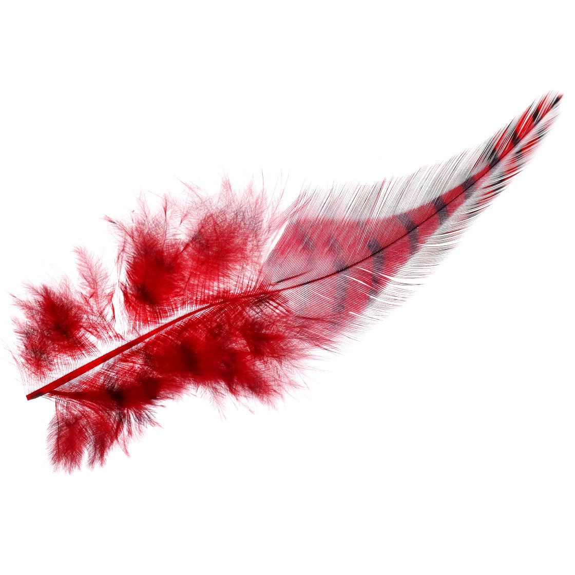 P-27106_MFC-Strung-Barred-Ostrich-Grizzly-Straussenfeder_detail-1