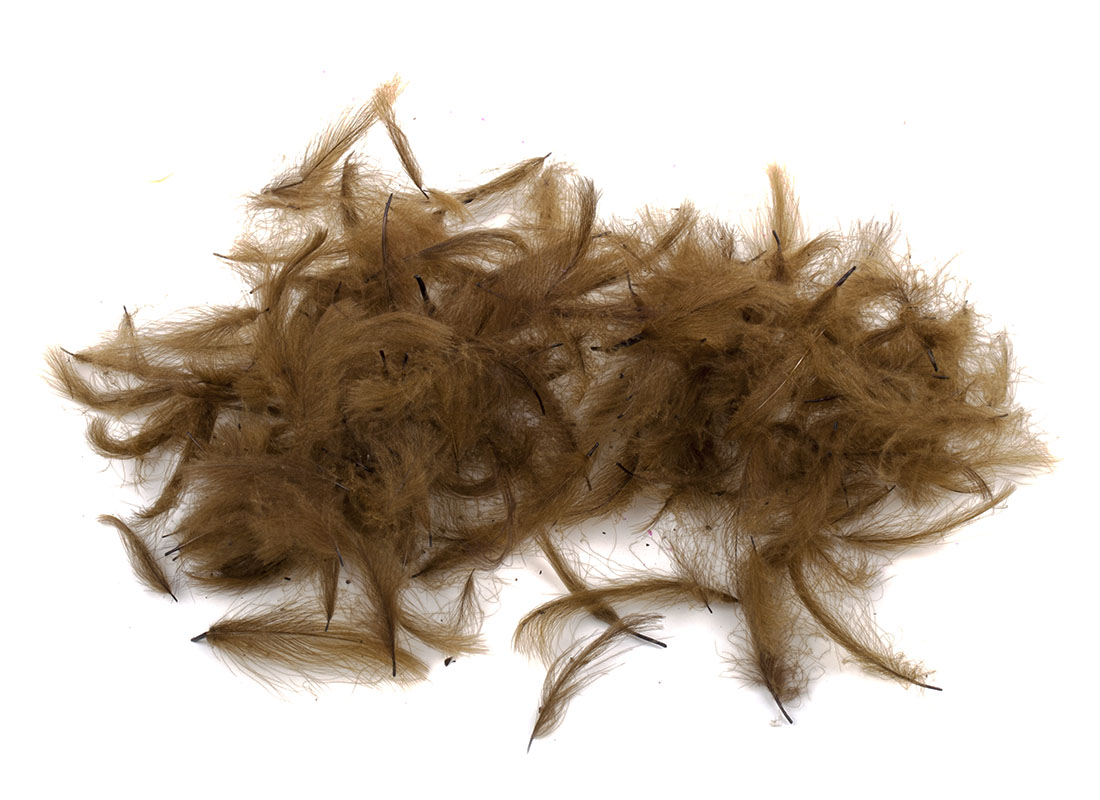 cdc_feathers_06_olive_dark 06 dark olive