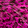 grizzly pink