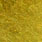 golden olive
