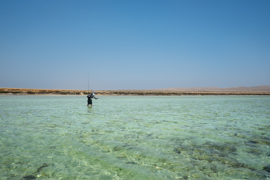 sudan2015-5 - Fliegenfischen auf den Nubischen Flats