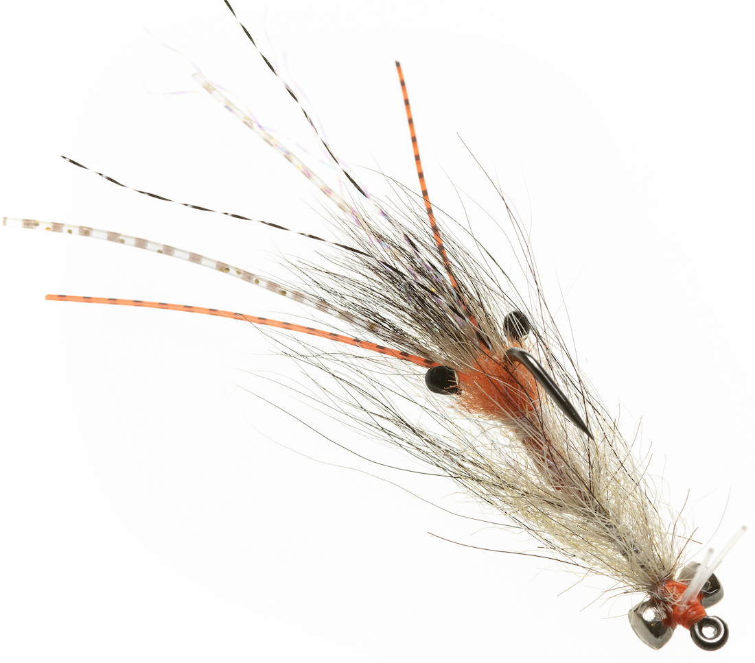 Enrico Puglisi SPAWNING SHRIMP - COYOTE