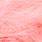 shrimp pink