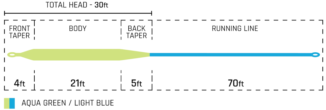 P-25690_Cortland_Blitz_Stripped_Bass_Fliegenschnur_2